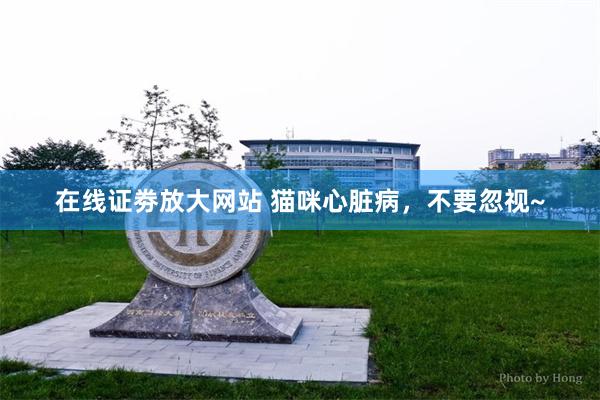 在线证劵放大网站 猫咪心脏病，不要忽视~