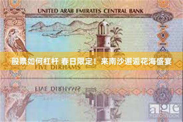 股票如何杠杆 春日限定！来南沙邂逅花海盛宴