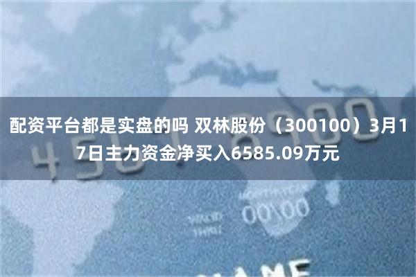 配资平台都是实盘的吗 双林股份（300100）3月17日主力资金净买入6585.09万元