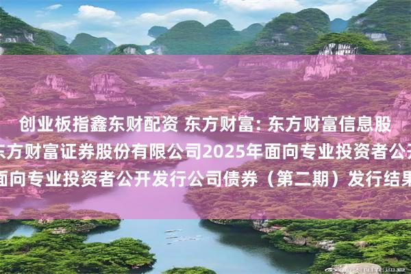 创业板指鑫东财配资 东方财富: 东方财富信息股份有限公司关于子公司东方财富证券股份有限公司2025年面向专业投资者公开发行公司债券（第二期）发行结果的公告
