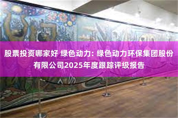 股票投资哪家好 绿色动力: 绿色动力环保集团股份有限公司2025年度跟踪评级报告
