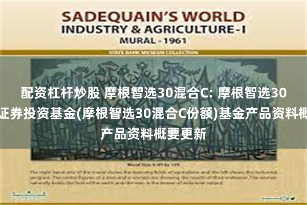 配资杠杆炒股 摩根智选30混合C: 摩根智选30混合型证券投资基金(摩根智选30混合C份额)基金产品资料概要更新