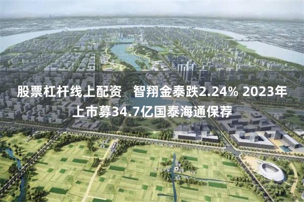 股票杠杆线上配资   智翔金泰跌2.24% 2023年上市募34.7亿国泰海通保荐