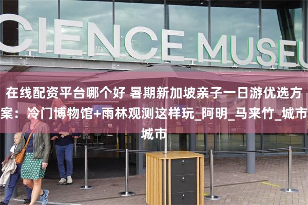 在线配资平台哪个好 暑期新加坡亲子一日游优选方案：冷门博物馆+雨林观测这样玩_阿明_马来竹_城市