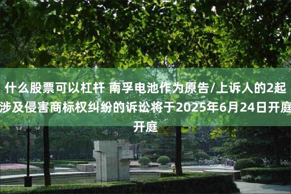 什么股票可以杠杆 南孚电池作为原告/上诉人的2起涉及侵害商标权纠纷的诉讼将于2025年6月24日开庭