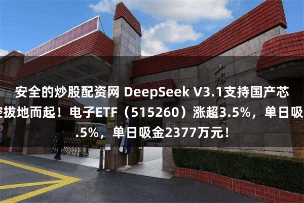 安全的炒股配资网 DeepSeek V3.1支持国产芯片！自主可控拔地而起！电子ETF（515260）涨超3.5%，单日吸金2377万元！