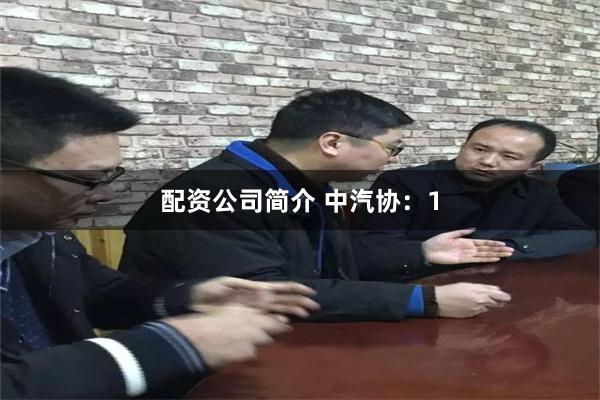 配资公司简介 中汽协：1