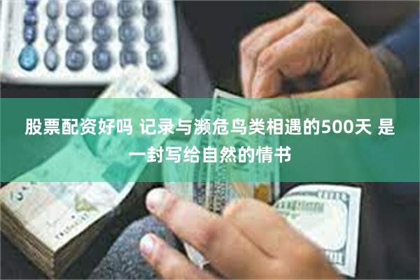 股票配资好吗 记录与濒危鸟类相遇的500天 是一封写给自然的情书